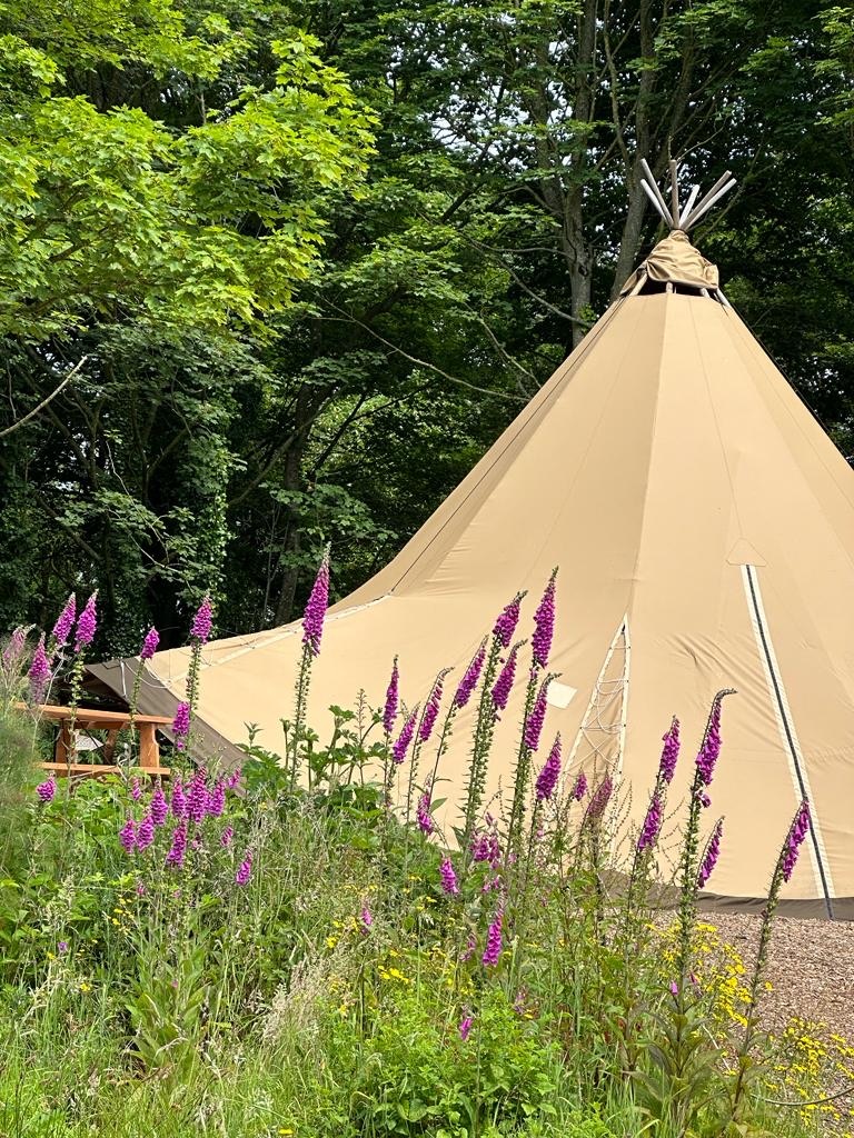 68fe7d42 d3f1 4812 b92d fe366d4bf308