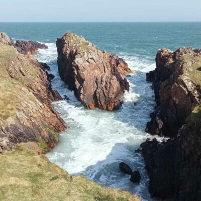 Coastal Foraging Rocks