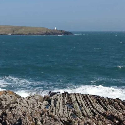 Costal foraging Lighthouse