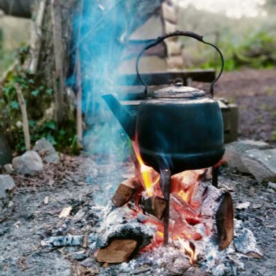 Whats App Image 2026 03 12 at 15 54 28