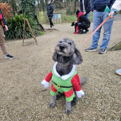 C2411172 0be6 4279 bcf2 9ea0b2ee8bf6