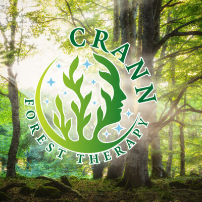 Forest bathing 2