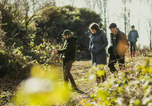 Early morning Walkers