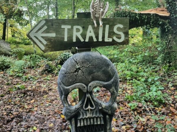 Halloween in the Woods