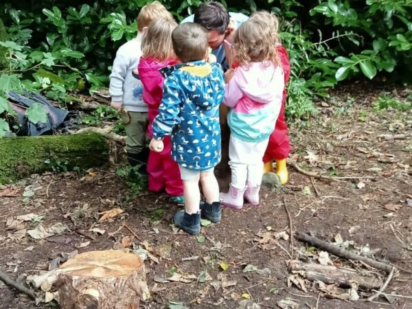 Bushcraft Family Fun
