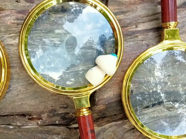 Pre Pre Forest School (2 Yrs)