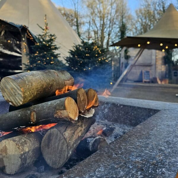 Christmas in the Woods