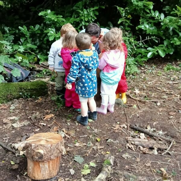 Bushcraft Family Fun