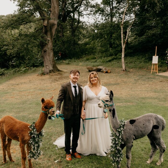 Amy Aaron at Finnebrogue Woods Northern Ireland Wedding Photography by Iain Irwin jpg 11