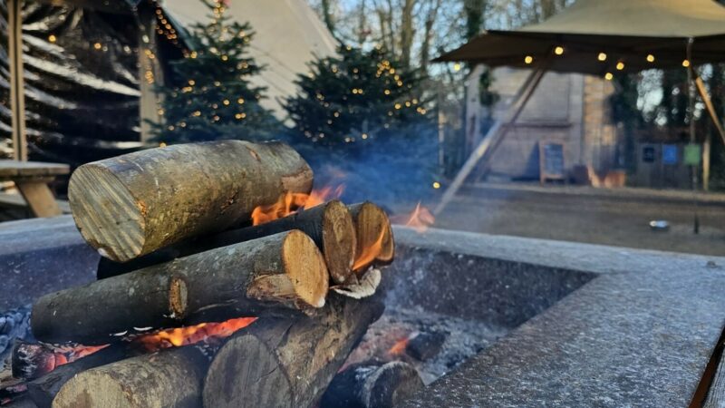 Image 123650291 2024 11 07 T123918 241