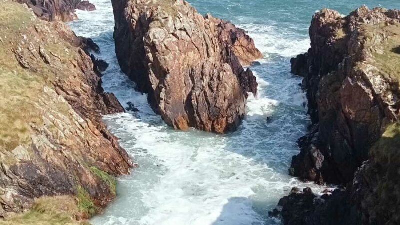 Coastal Foraging Rocks