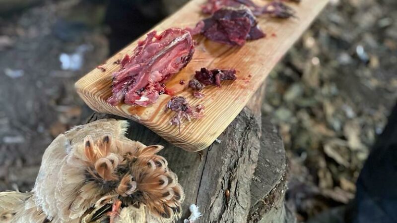 PHOTO 2021 11 08 11 47 56