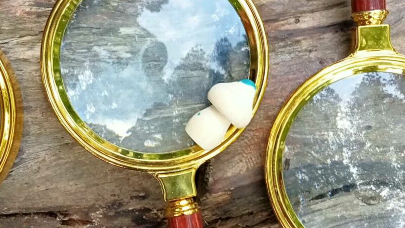 Wee Wild Fun Magnafying