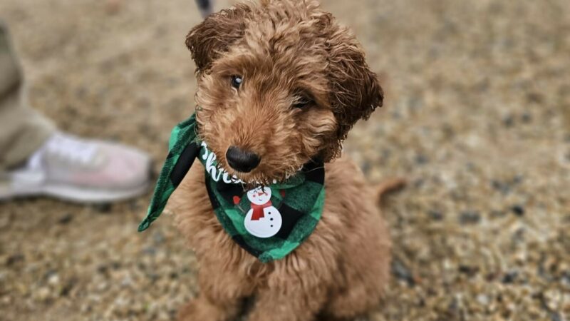 B826e17a ee21 4daa 9edc 2de95e0919de