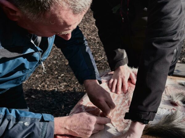 Small Game & Bushcraft cooking