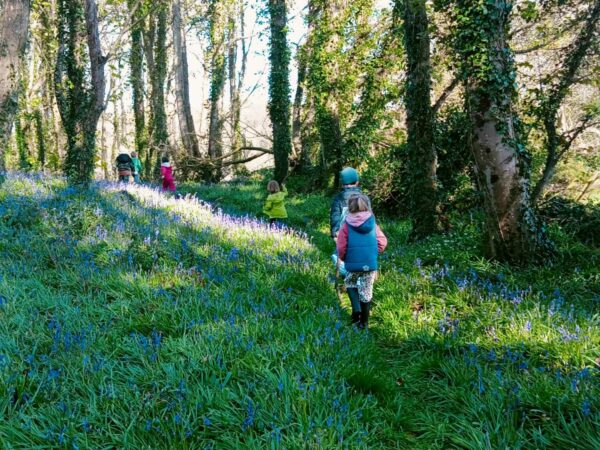 Bushcraft Family Fun