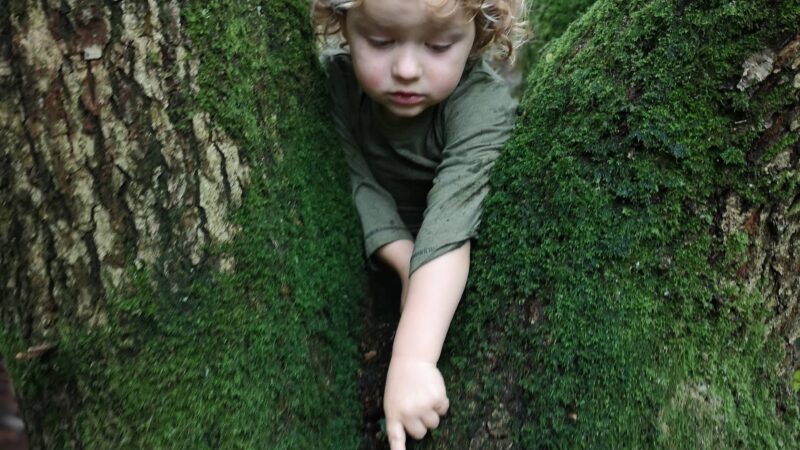 2020 08 27 14 53 41 1