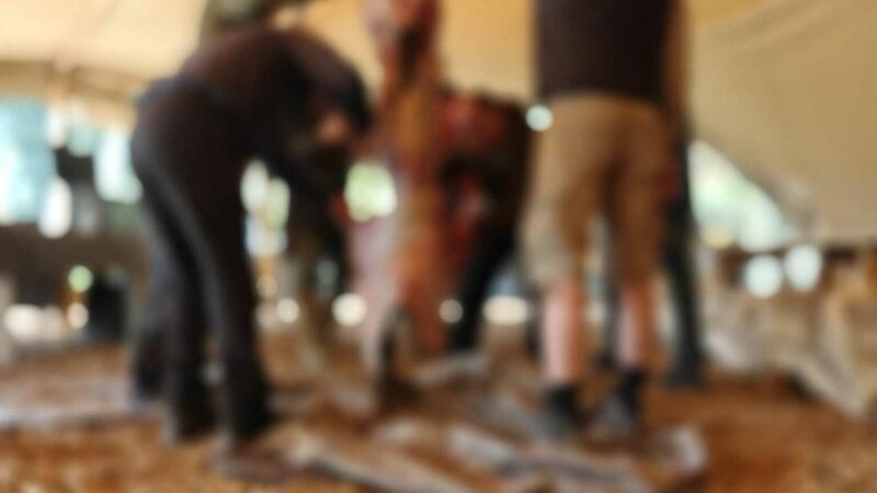 Large Game blur