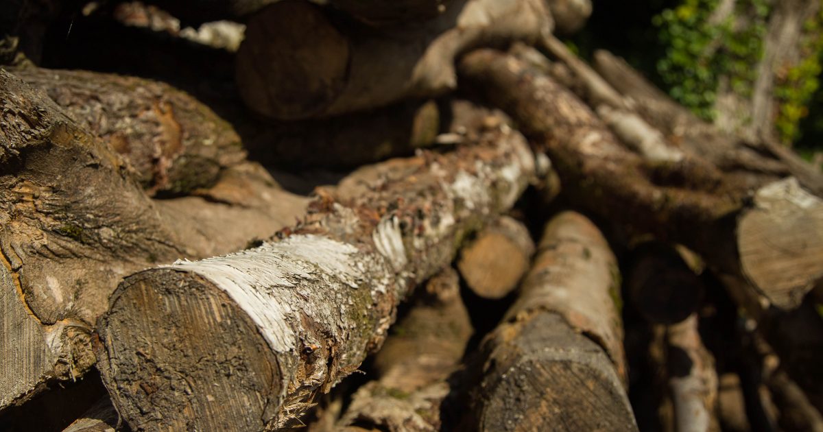 Firewood For Sale In County Down Finnebrogue Woods