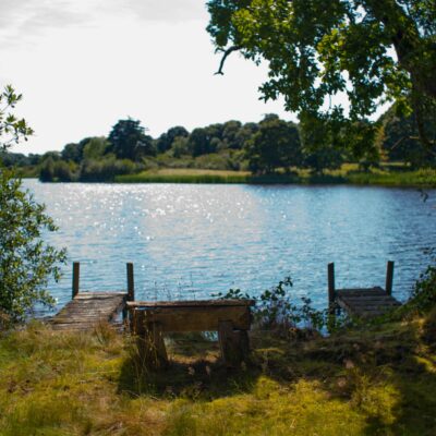 Two jettys go out onto the glistening waters of Finnebrogue Lough, the estate of Finnebrogue Woods is in the background