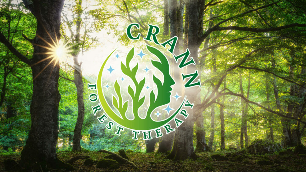 Forest bathing 2