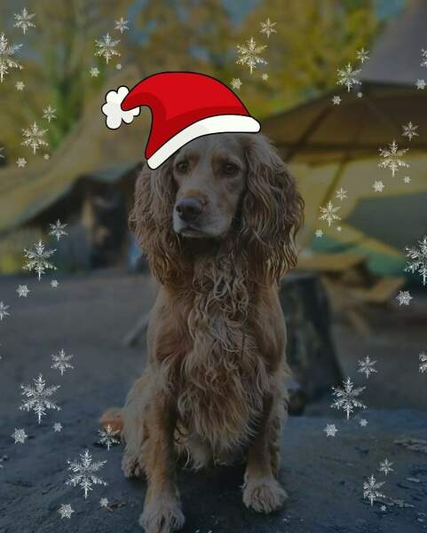 Image 123650291 2024 11 07 T141325 020