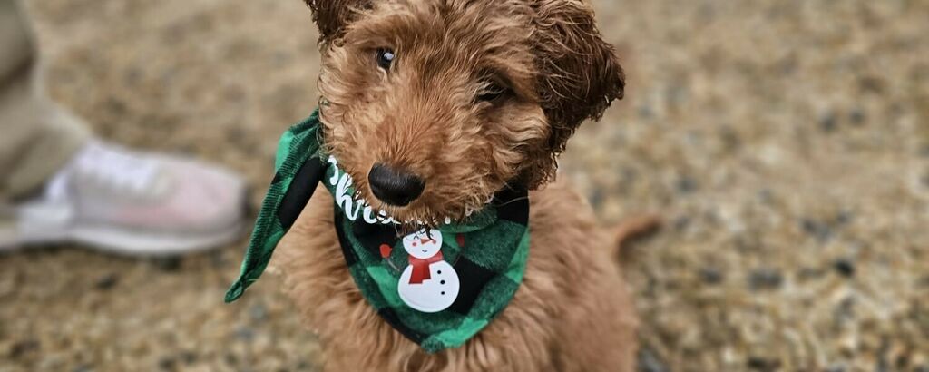 B826e17a ee21 4daa 9edc 2de95e0919de