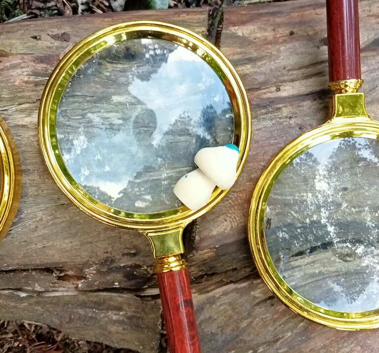 Wee Wild Fun Magnafying