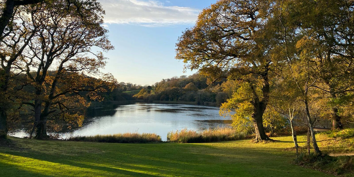 Autumn arrives at Finnebrogue Woods