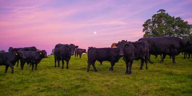 Dsc00843Jpg 29349758312 O