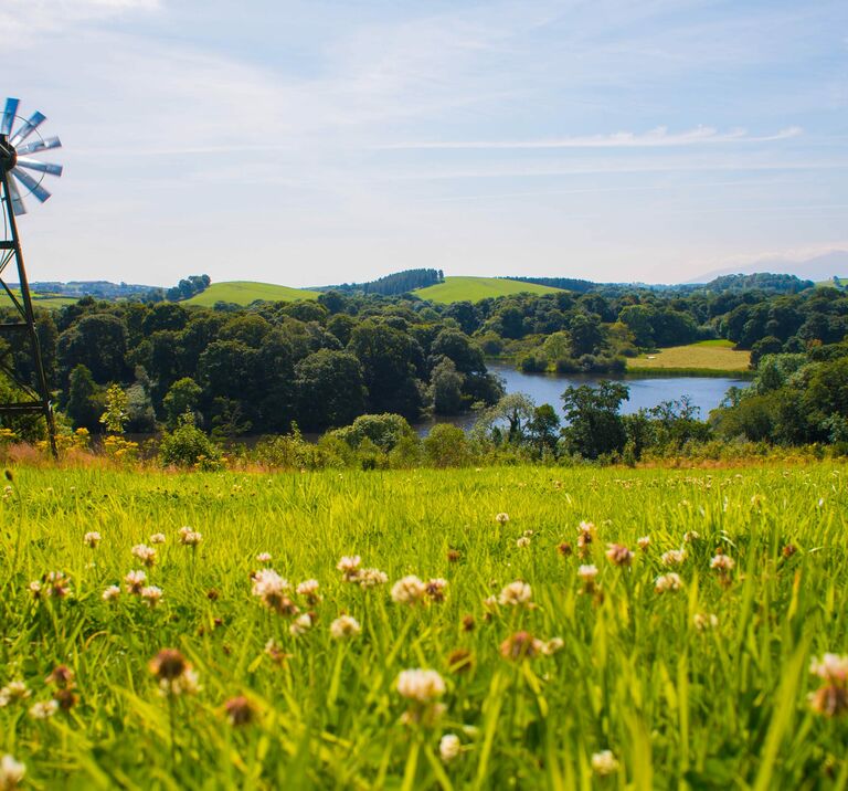 A Turbine stands in the fields of Finnebrogue Woods, green hills & a lough is in the background